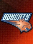 pic for charlotte bobcats